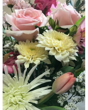 deluxe in a vase size, inches height and inches wide.