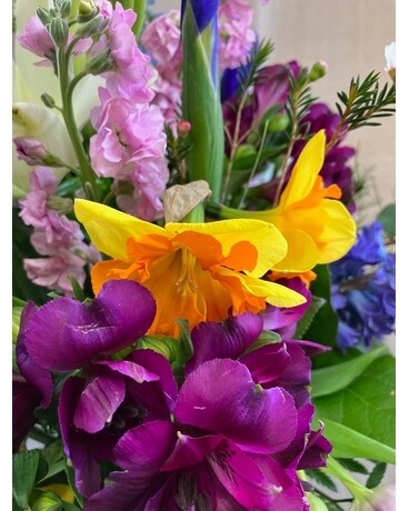 Premium Hand Tied size, inches height and inches wide.