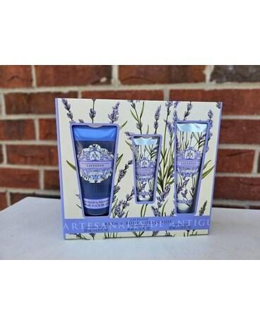 Bath & Body Collection Lavender size, inches height and inches wide.