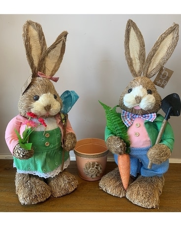 Girl Bunny size, inches height and inches wide.