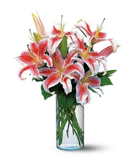 Deluxe size, inches height and inches wide.