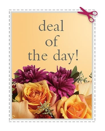 DWF DEAL size, inches height and inches wide.