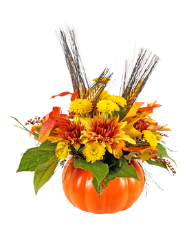 Standard size, 8.00 inches height and 8.00 inches wide.
