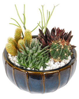 Planter 8" size, inches height and inches wide.