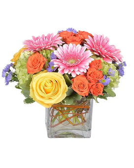 Standard size, 9 inches height and 10 inches wide.