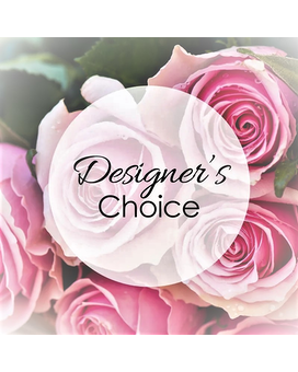 Premium 5 size, inches height and inches wide.