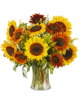 Standard size, 22 inches height and 20 inches wide.