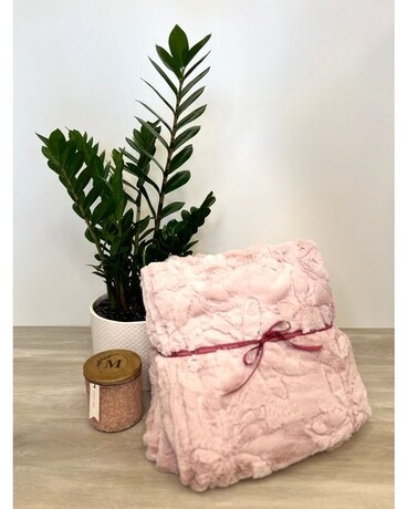 Blanket Only size, inches height and inches wide.