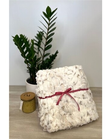 Blanket Only size, inches height and inches wide.