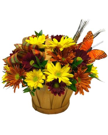 As Shown size, 12 inches height and 13 inches wide.