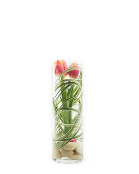 Individual - Single Vase size, inches height and inches wide.