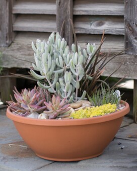As Shown size, inches height and inches wide.