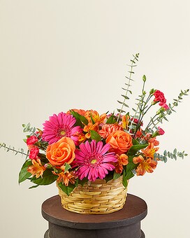 Deluxe size, inches height and inches wide.