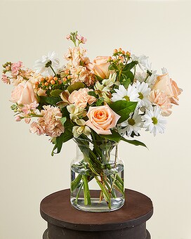 Premium size, inches height and inches wide.