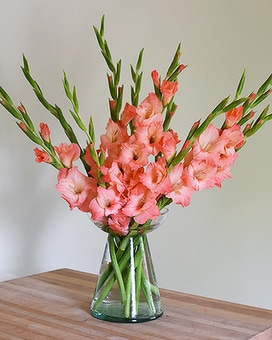 Arranged size, inches height and inches wide.