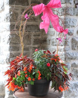 Twiggy Handled Garden Pot size, inches height and inches wide.