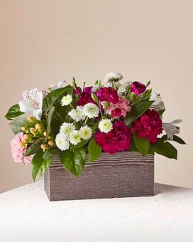 Standard size, 11 inches height and 15 inches wide.