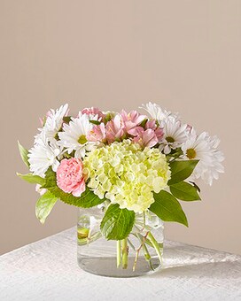 Standard size, 12 inches height and 13 inches wide.