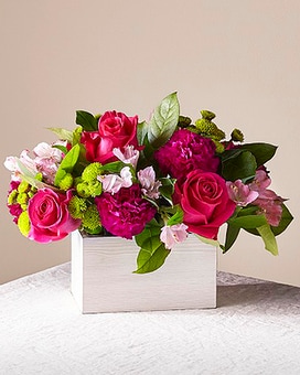 Premium size, 12 inches height and 15 inches wide.