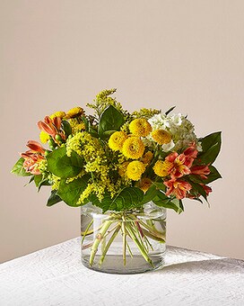 Standard size, 11 inches height and 14 inches wide.
