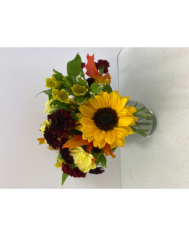 Standard size, 13 inches height and 10.5 inches wide.