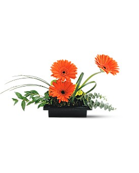 Standard size, 15 inches height and 8 inches wide.