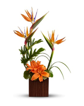 Standard size, 26 inches height and 17 inches wide.