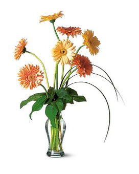 Standard size, 22.5 inches height and 12 inches wide.