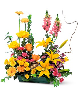 Standard size, 25 inches height and 22 inches wide.