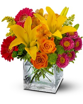 Standard size, 10 inches height and 9 inches wide.