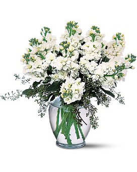 Standard size, 18 inches height and 15 inches wide.