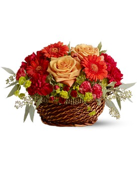 Standard size, 6 inches height and 8 inches wide.