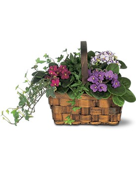 Standard size, 10 inches height and 15 inches wide.