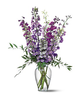 Standard size, 27 inches height and 20 inches wide.