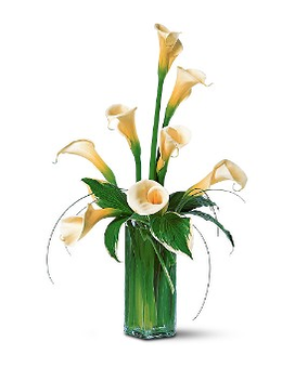 Standard size, 28 inches height and 18 inches wide.