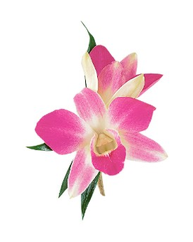 As Shown size, 3 inches height and 2.5 inches wide.