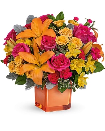 Premium size, 13 3/4 inches height and 15 inches wide.