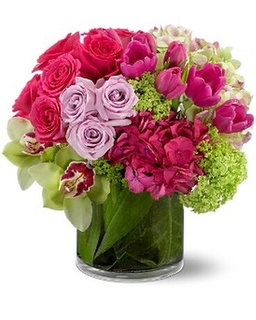 Premium even more roses, tulips and orchids size, inches height and inches wide.