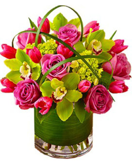 Premium The best! size, inches height and inches wide.