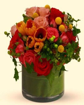 Premium Fuller and larger size, inches height and inches wide.