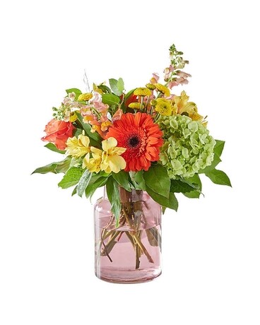 Deluxe (Blush Vase) size, inches height and inches wide.
