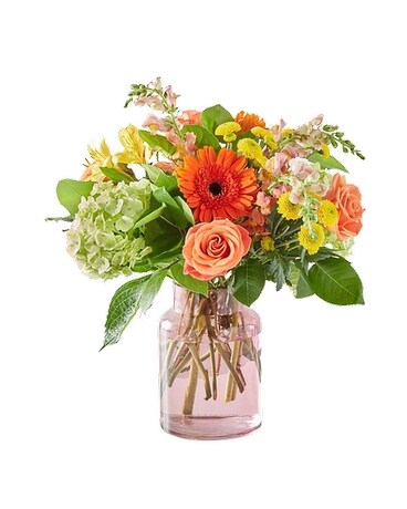 Premium (Blush Vase) size, inches height and inches wide.