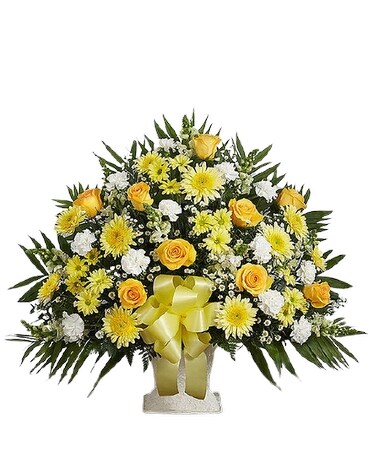 Deluxe size, 36 inches height and 38 inches wide.