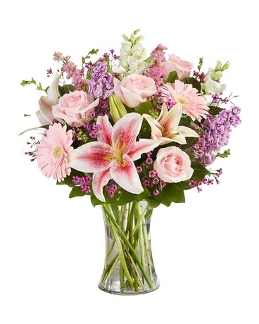 Deluxe size, 23 inches height and 14 inches wide.