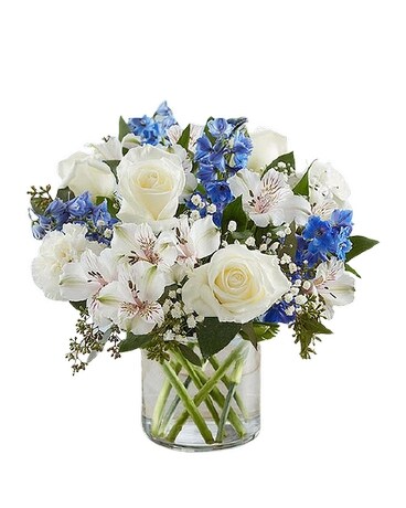 Standard size, 13 inches height and 12 inches wide.