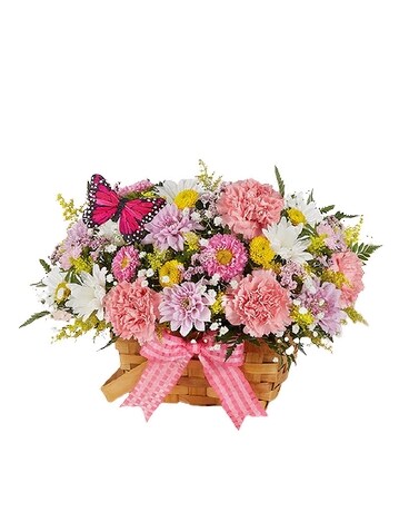 Deluxe size, 12.5 inches height and 13.5 inches wide.