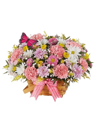 Premium size, 13 inches height and 14 inches wide.