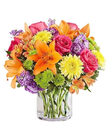Premium size, 13 inches height and 13 inches wide.