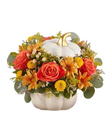 Premium size, 9 inches height and 9.5 inches wide.