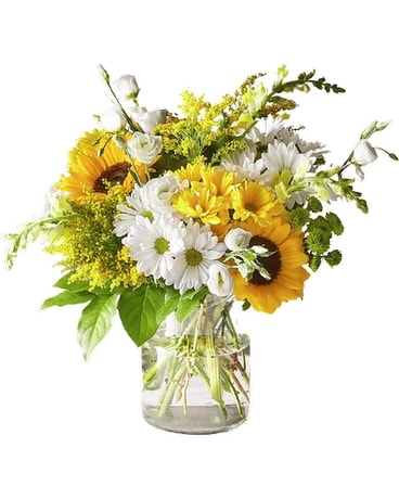 Premium size, 19 inches height and 19 inches wide.